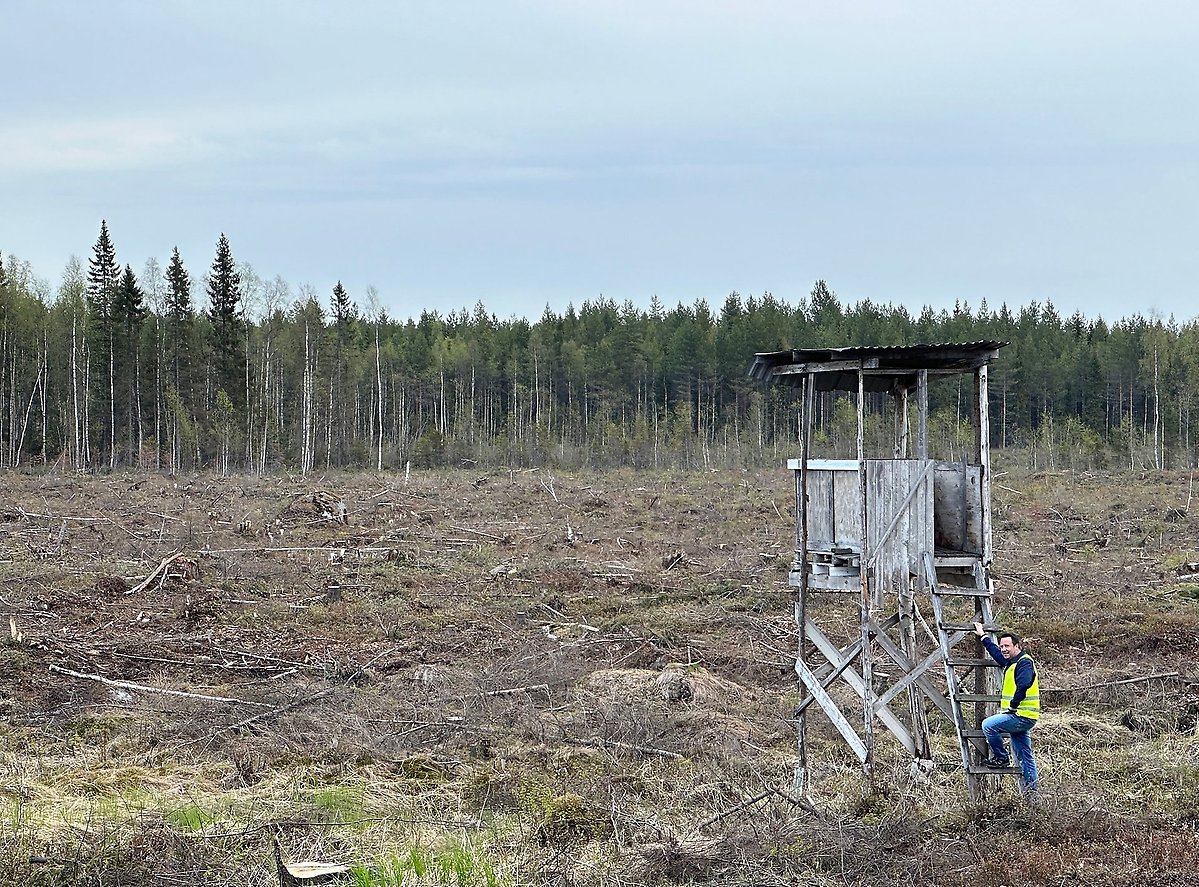 – Nu går vi in i en fas där allt förberedande arbete med markanvisningar och planer övergår i faktiska byggnationer, säger projektchef Robert Eriksson där han inspekterar området för det nya Hertsöfältet, en del av Luleå Industripark